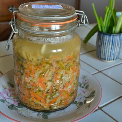 Bocal de légumes lacto-fermentés (chou chinois, carottes, poireaux)