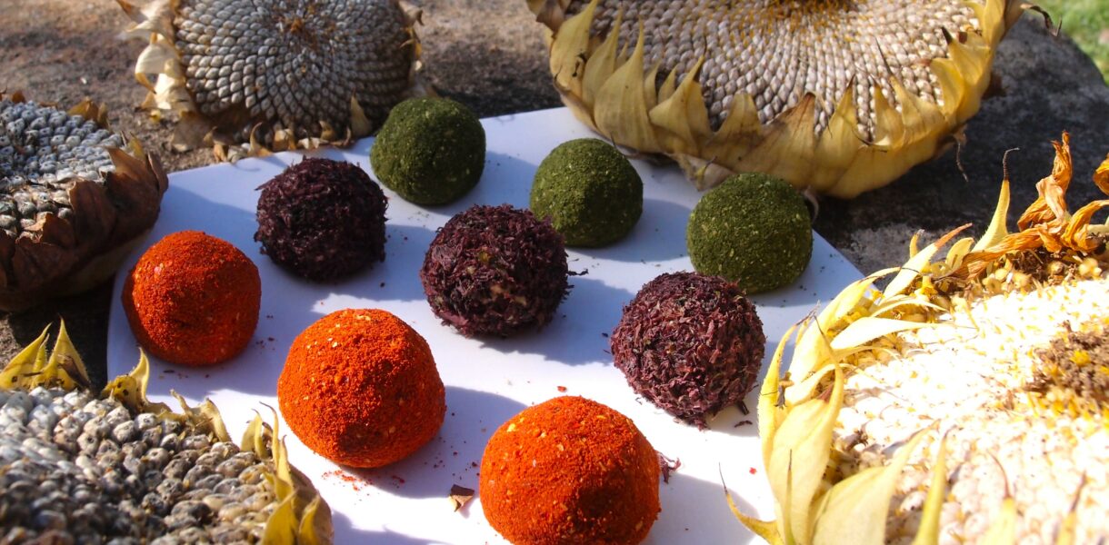 Boulettes de tartare de graines de tournesol