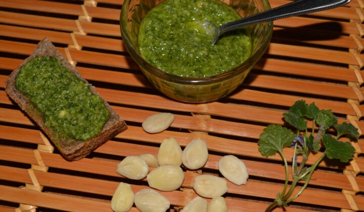 Pesto de feuilles de lierre terrestre