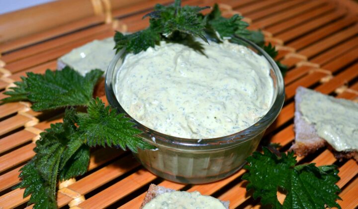 Véganaise à l'ortie