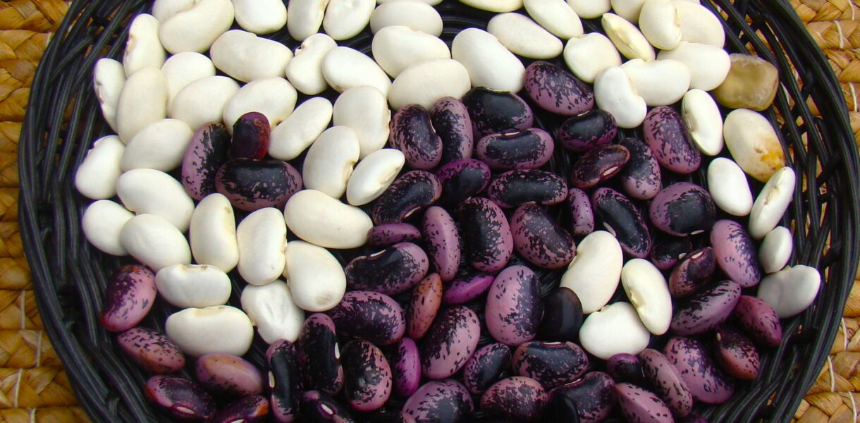 La macrobiotique : bien plus qu'un régime
