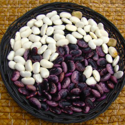 La macrobiotique : bien plus qu'un régime