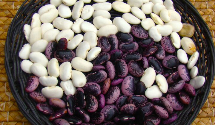 La macrobiotique : bien plus qu'un régime