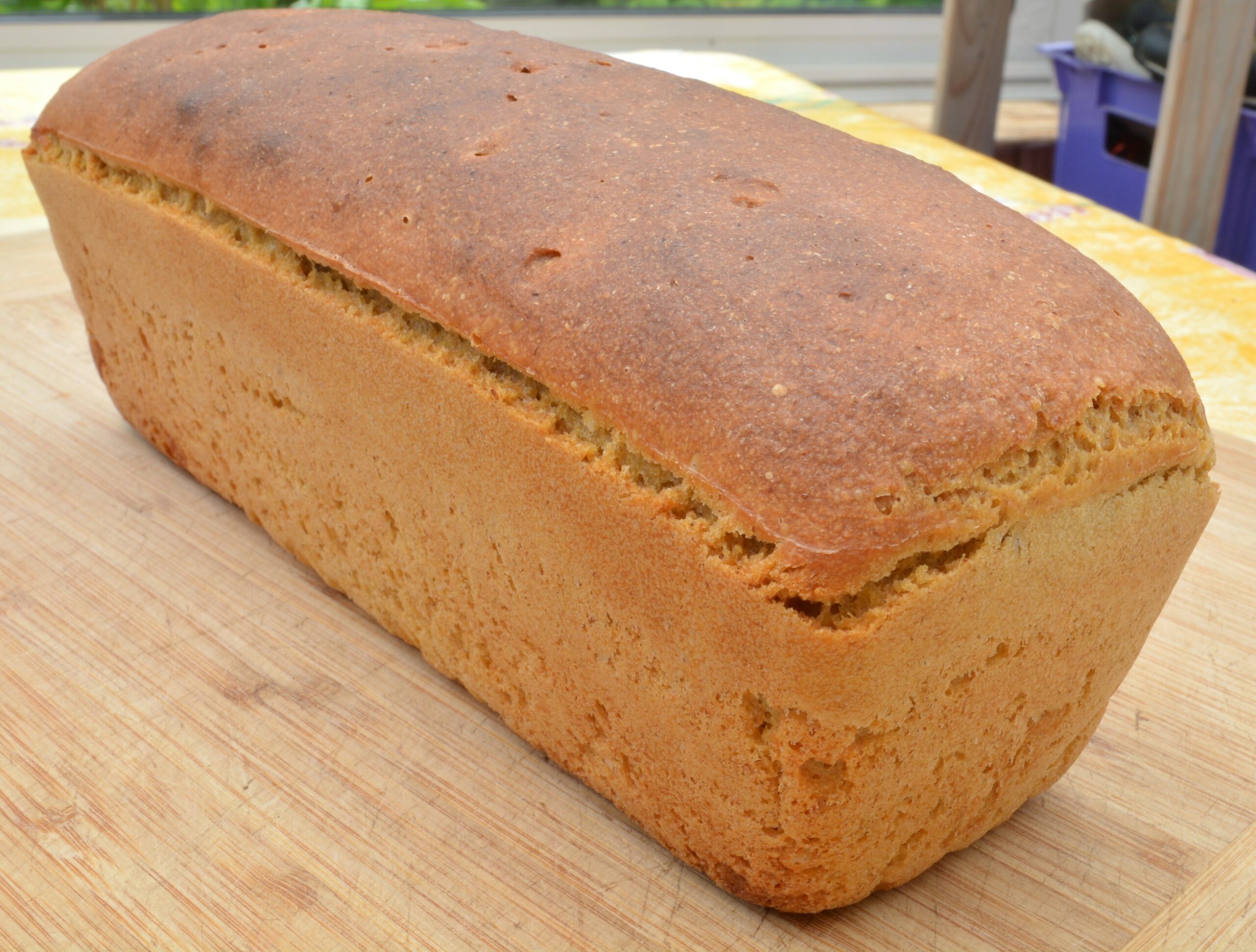 Pain au petit-épeautre